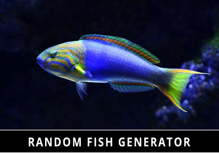 Random Fish Generator