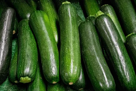 Zucchini