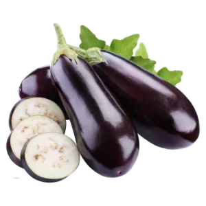 Aubergine