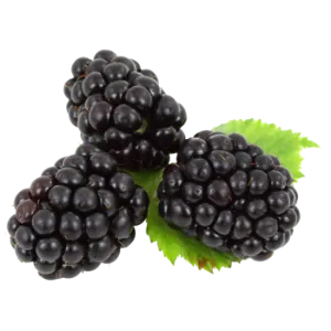 Blackberries
