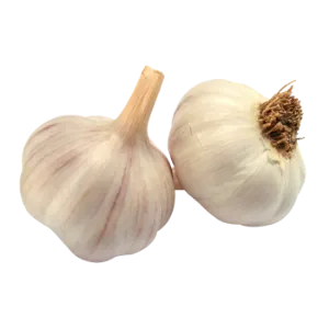 Garlic Clove