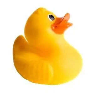 Rubber Duck
