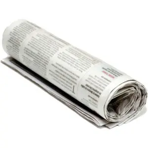Newspaper