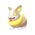 Yamper