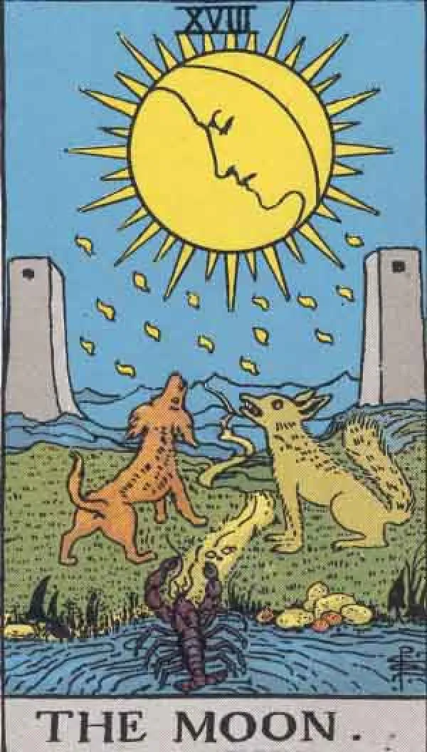 Tarot The Moon