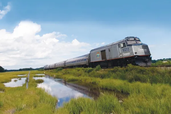 Train